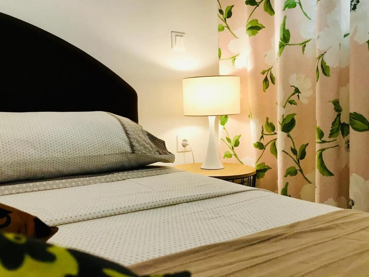 Secret Garden Apartment Zadar Maison d'hôtes